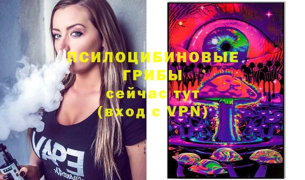 ешки Нея