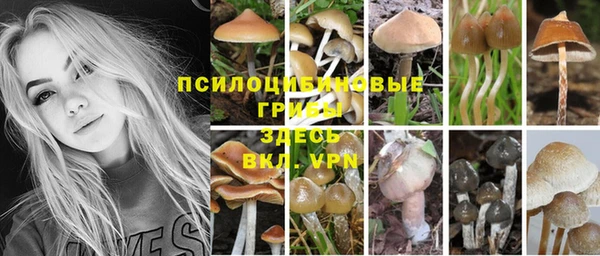 MDMA Нефтекумск