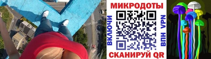 сколько стоит  ссылка на мегу ONION  Галлюциногенные грибы Magic Shrooms  Красный Сулин 