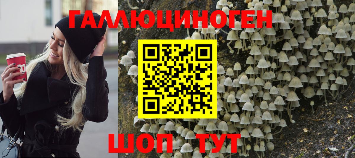 Псилоцибиновые грибы мицелий  Галлюциногенные грибы GOLDEN TEACHER  продажа наркотиков  Вход с VPN  Красный Сулин 