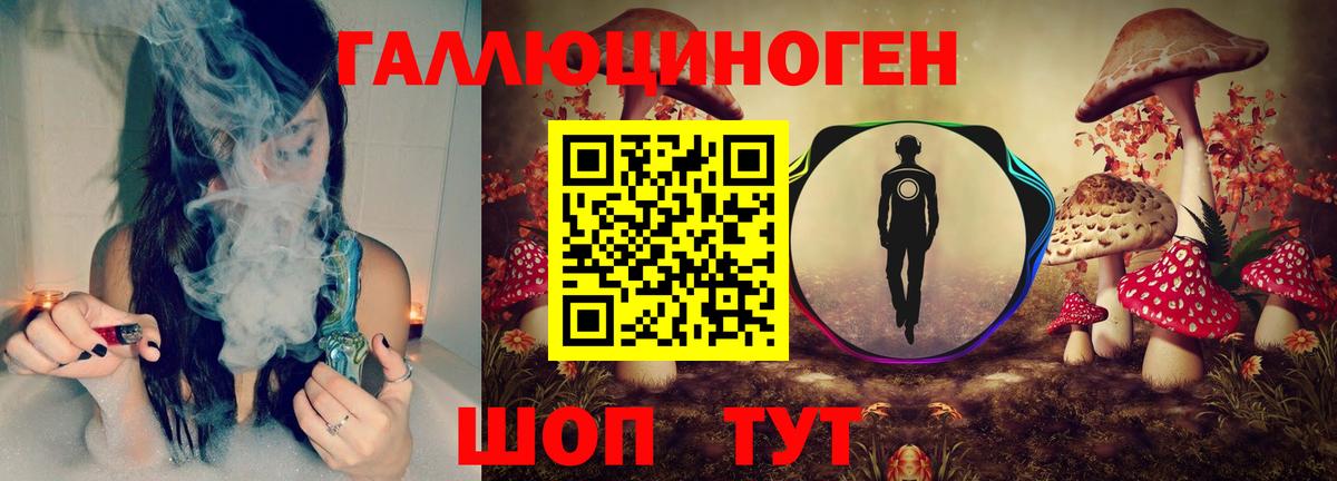Галлюциногенные грибы Psilocybe Красный Сулин