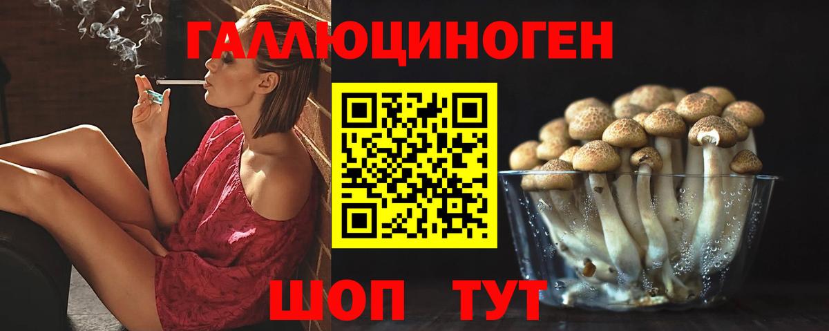 Галлюциногенные грибы MAGIC MUSHROOMS  купить  сайты  Красный Сулин 